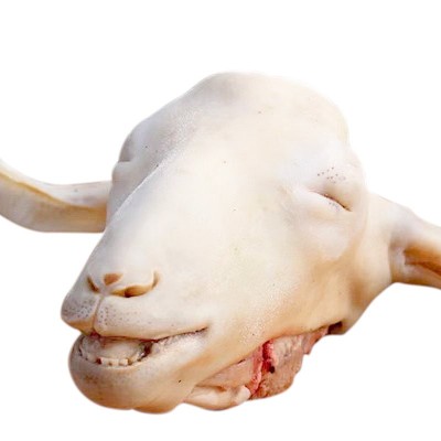 【现货】新西兰进口羔羊羊头批发10kg