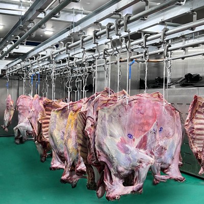 【期货】乌拉圭52厂草饲牛肉四分体批发5柜起订六月前发货