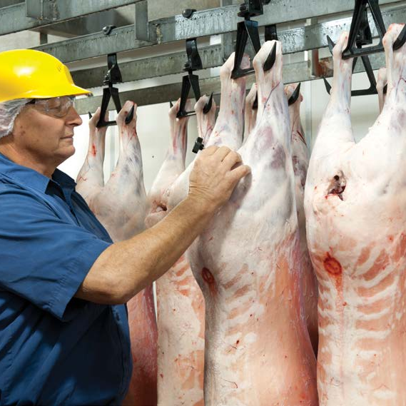 【期货】澳大利亚2309羊肩肉5吨起批6月底发货