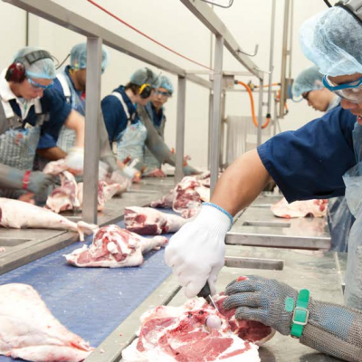 【期货】澳大利亚2309羊里脊肉5吨起批6月底发货