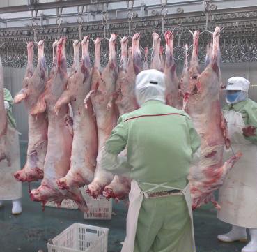 【期货】蒙古国胴体羊去内脏5吨起批6月底发货