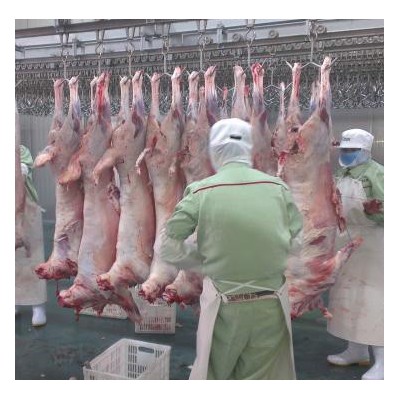 【期货】蒙古国胴体羊去内脏5吨起批6月底发货