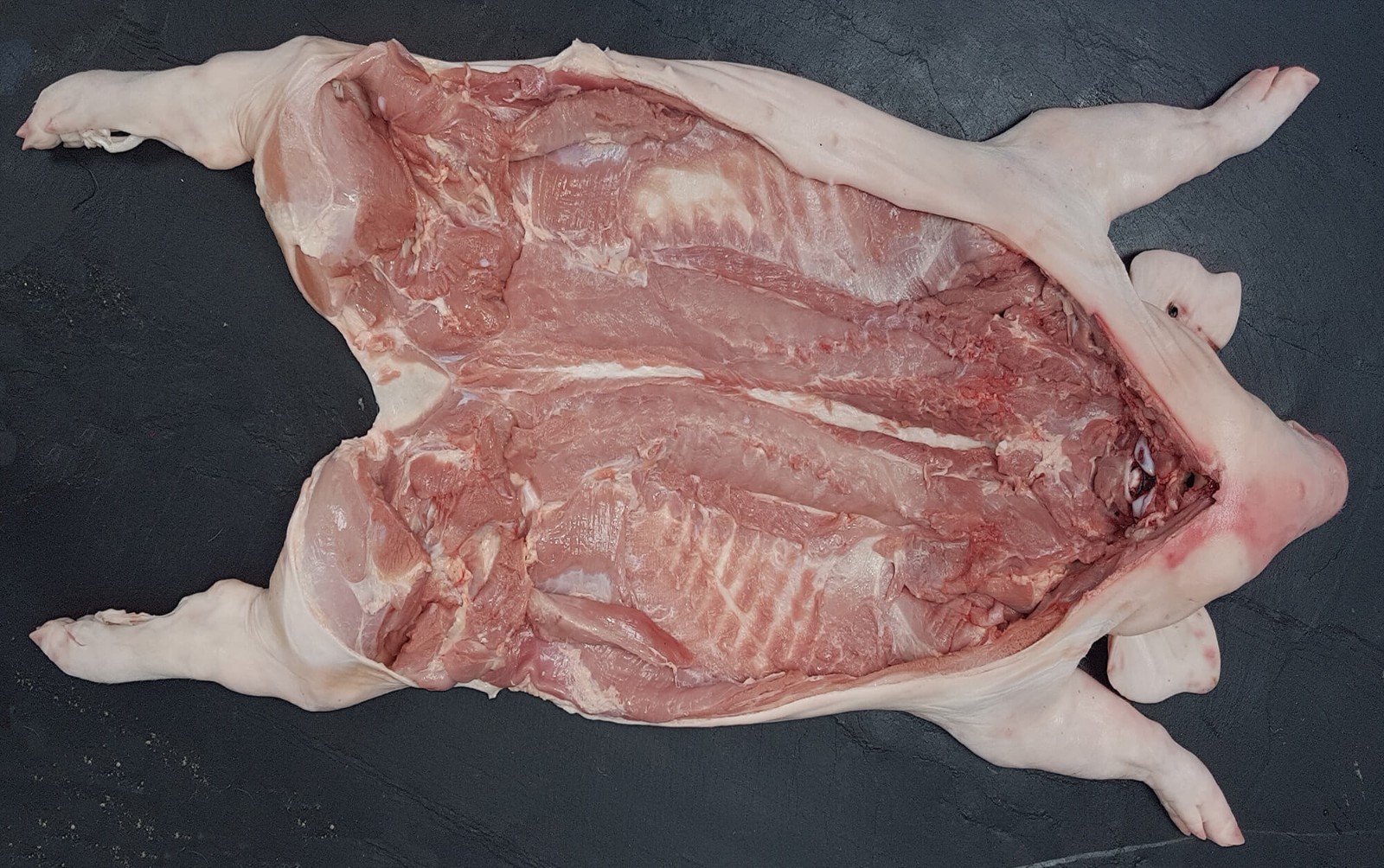 【期货】西班牙10.17858/Z乳猪整猪去内脏5吨起批7月中旬发货