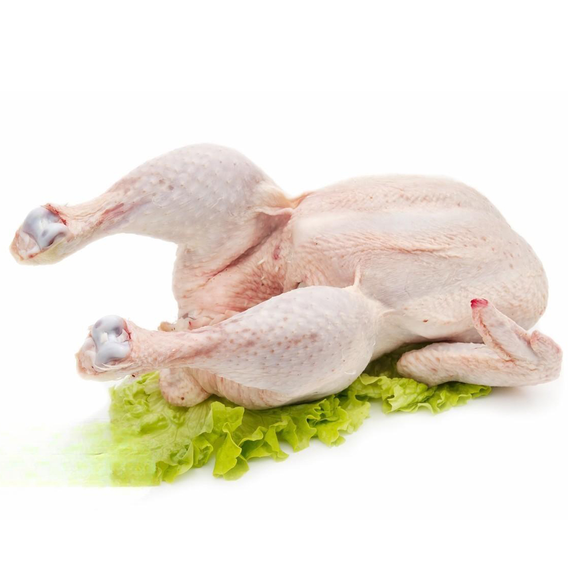 美国P17966厂整鸡现货现发25kg